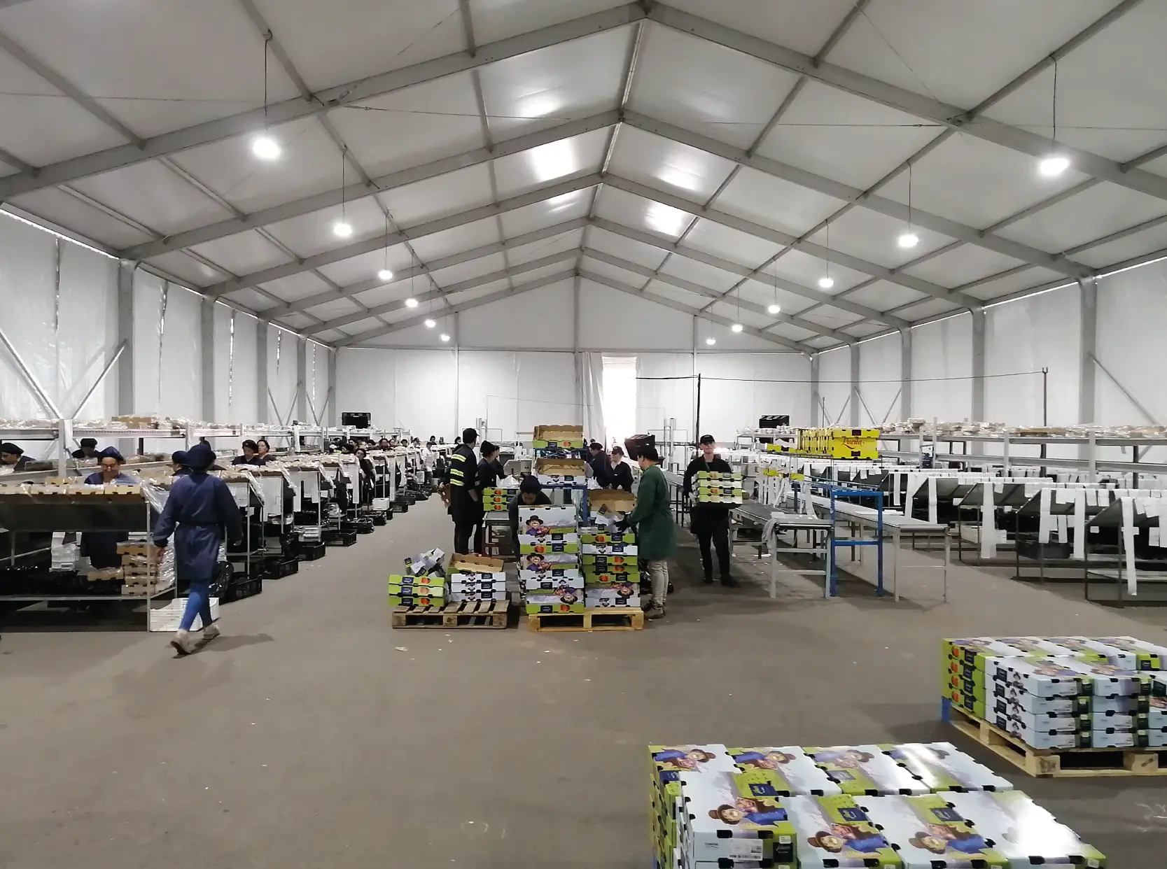 Espacio modular utilizado para una operación productiva